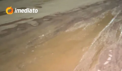 Buraqueira toma conta da rua Cássiopeia no bairro Cidade Satélite, em Boa Vista