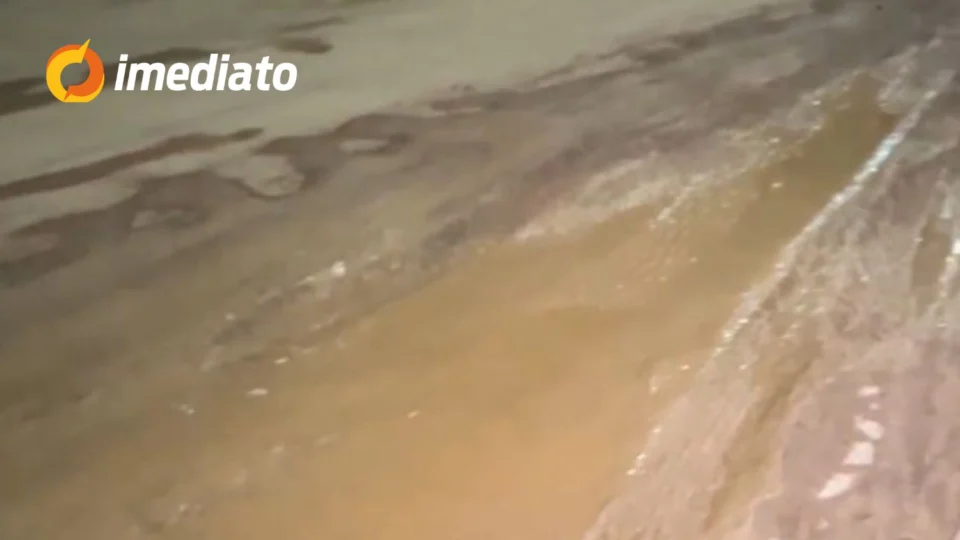 Buraqueira toma conta da rua Cássiopeia no bairro Cidade Satélite, em Boa Vista