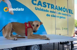 Bairro Coroado recebe Castramóvel com castração e vacinação gratuita para cães e gatos