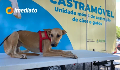 Bairro Coroado recebe Castramóvel com castração e vacinação gratuita para cães e gatos