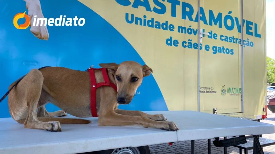 Bairro Coroado recebe Castramóvel com castração e vacinação gratuita para cães e gatos