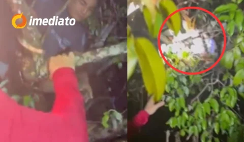 VEJA VÍDEO: Homens são resgatados após ficarem presos em galhos durante naufrágio provocado por temporal no Amazonas