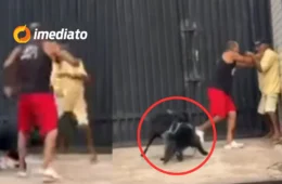 VEJA VÍDEO: Tutores caem na ‘Porrada’ após cachorros se atacarem em via pública no Pará