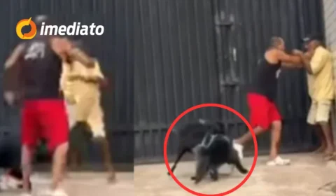 VEJA VÍDEO: Tutores caem na ‘Porrada’ após cachorros se atacarem em via pública no Pará
