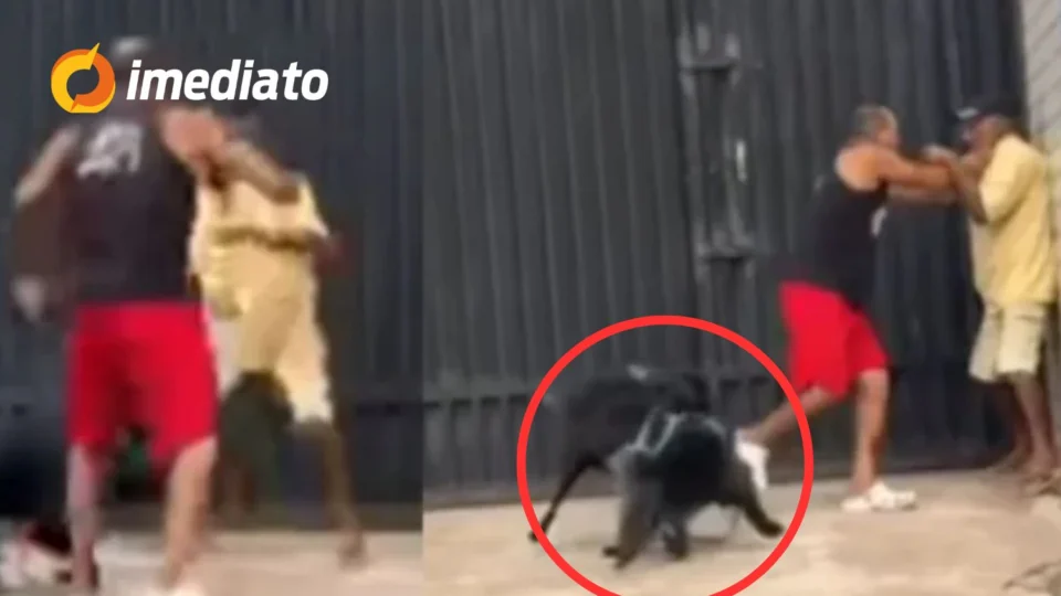 VEJA VÍDEO: Tutores caem na ‘Porrada’ após cachorros se atacarem em via pública no Pará