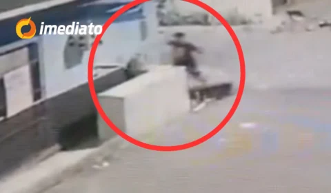 VEJA VÍDEO: Câmera flagra momento em que homem esfaqueia cadela grávida no bairro Santa Etelvina