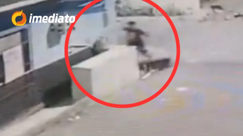VEJA VÍDEO: Câmera flagra momento em que homem esfaqueia cadela grávida no bairro Santa Etelvina