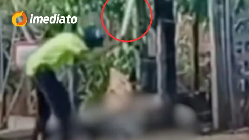 CENA FORTE: idoso é preso após espancar esposa com pedaço de madeira no meio da rua