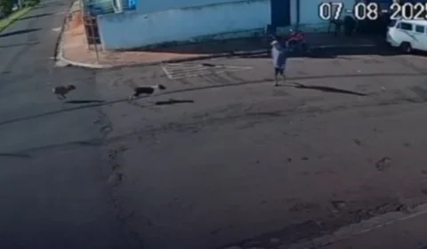 VEJA O ACIDENTE! Idoso de 72 anos é derrubado e gravemente ferido por cachorro solto em rua em São Paulo