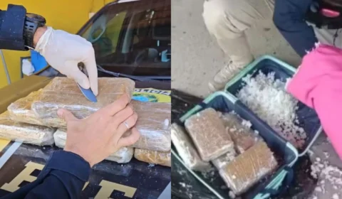 Foragida da Justiça é presa com 6,5 kg de drogas escondidas em mala dentro de ônibus na BR-319