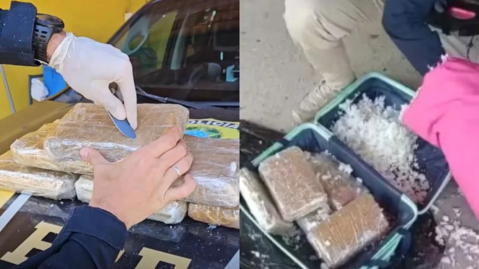 Foragida da Justiça é presa com 6,5 kg de drogas escondidas em mala dentro de ônibus na BR-319