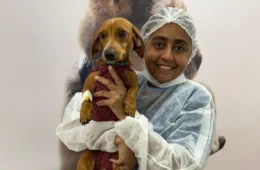 Dia Mundial do Cachorro: cuidados essenciais para garantir a saúde dos pets