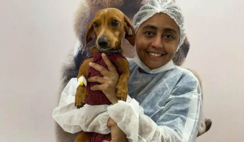 Dia Mundial do Cachorro: cuidados essenciais para garantir a saúde dos pets