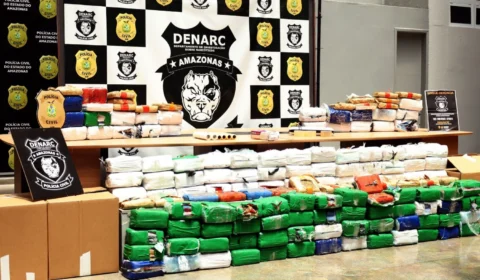 PC-AM apreende 300 quilos de skunk e descobre rinha de galos em operação milionária