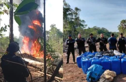 Polícias identificam heliporto clandestino em Itamarati e prendem homem por crimes ambientais