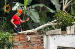 Árvore cai sobre casa durante temporal e destrói imóvel no Valparaíso, em Manaus