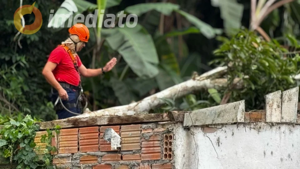 Árvore cai sobre casa durante temporal e destrói imóvel no Valparaíso, em Manaus