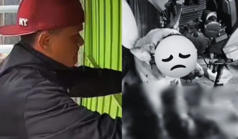 Cachorro é morto a teçadadas durante desentendimento familiar em Maués