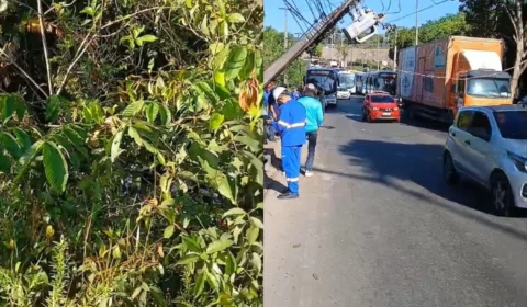 Veja o vídeo: Motorista perde controle de veículo, bate em poste, cai em barranco e morre na Avenida do Turismo no Tarumã