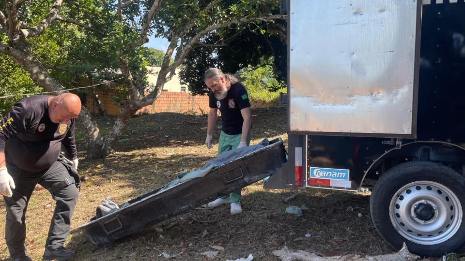 Veja o vídeo: Roçador encontra corpo de mulher enquanto trabalhava na Colônia Terra Nova