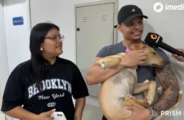 Veja o vídeo: Cadela agredida em supermercado de Manaus é adotada e recebe cuidados veterinários; agressor se apresenta à polícia
