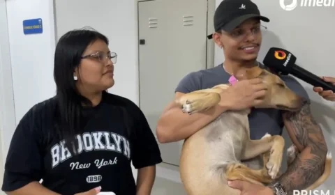 Veja o vídeo: Cadela agredida em supermercado de Manaus é adotada e recebe cuidados veterinários; agressor se apresenta à polícia