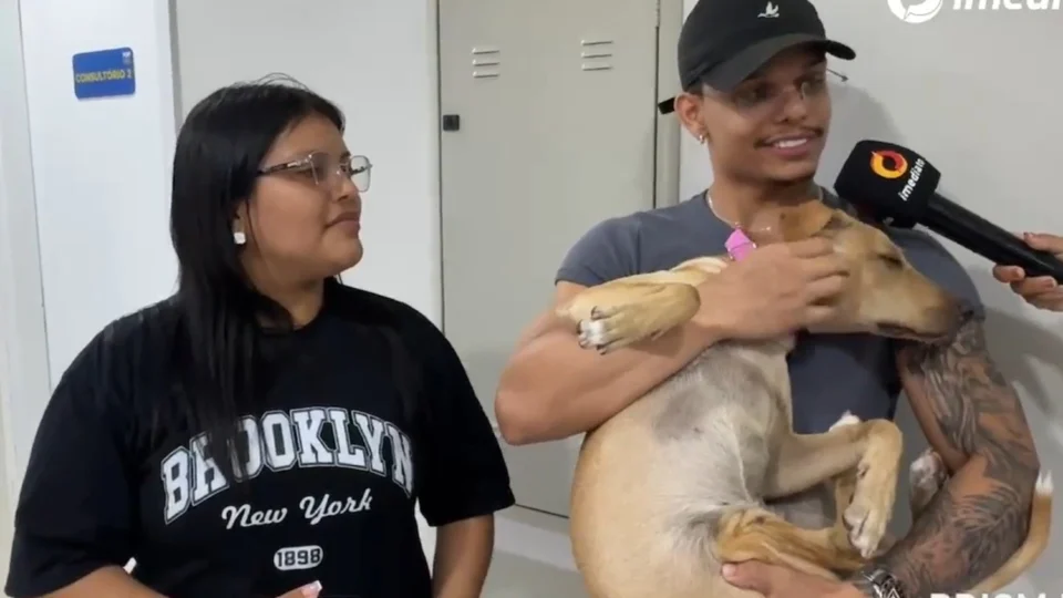 Veja o vídeo: Cadela agredida em supermercado de Manaus é adotada e recebe cuidados veterinários; agressor se apresenta à polícia