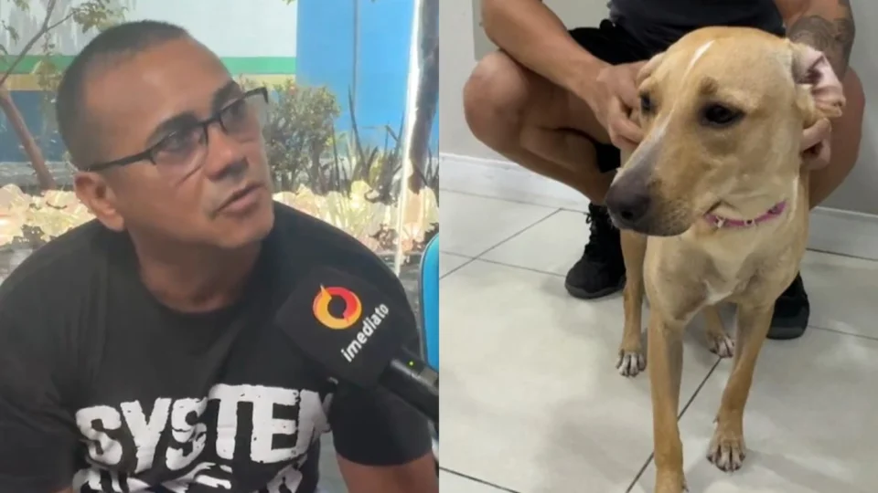 Vídeo: “Eu estava com o nervo à flor da pele”, admite homem que agrediu cadela em supermercado após passar 48h sem dormir