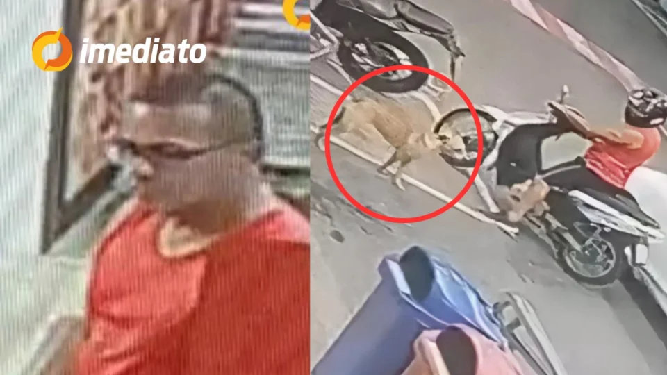 VEJA VÍDEO: Homem agride cachorro em estacionamento de supermercado localizado na Avenida Silves, em Manaus