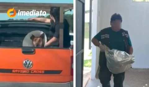 Veterinário é suspeito de matar cachorro e enforcar outro animal no Amazonas