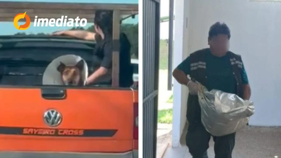 Veterinário é suspeito de matar cachorro e enforcar outro animal no Amazonas