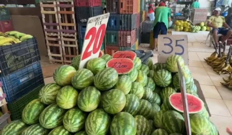 Confira os preços de frutas na Feira da Banana