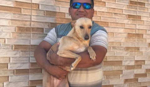 Cadela brutalmente atacada a facadas no Santa Etelvina ganha novo lar