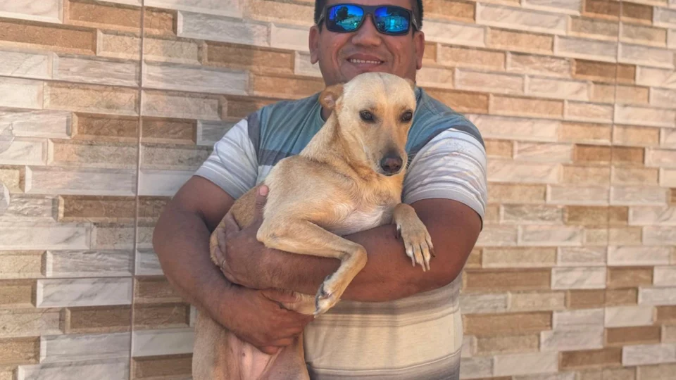 Cadela brutalmente atacada a facadas no Santa Etelvina ganha novo lar