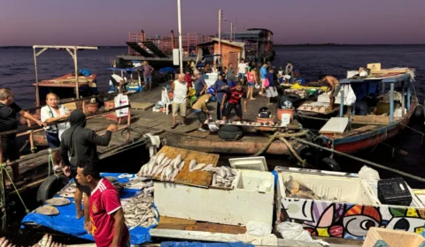 Confira os preços dos peixes frescos na Balsa do Boizão em Manaus