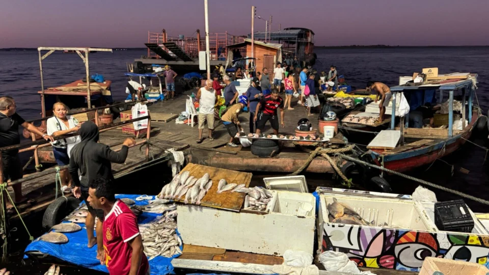 Confira os preços dos peixes frescos na Balsa do Boizão em Manaus