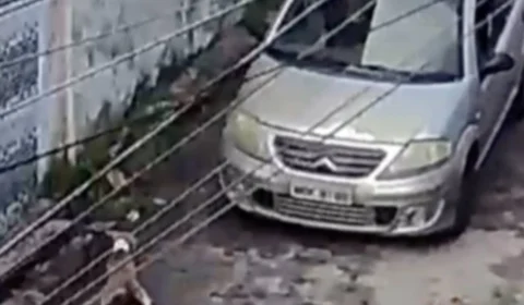 VEJA VÍDEO: Motorista atropela e mata cachorro no Novo Aleixo e foge sem prestar socorro