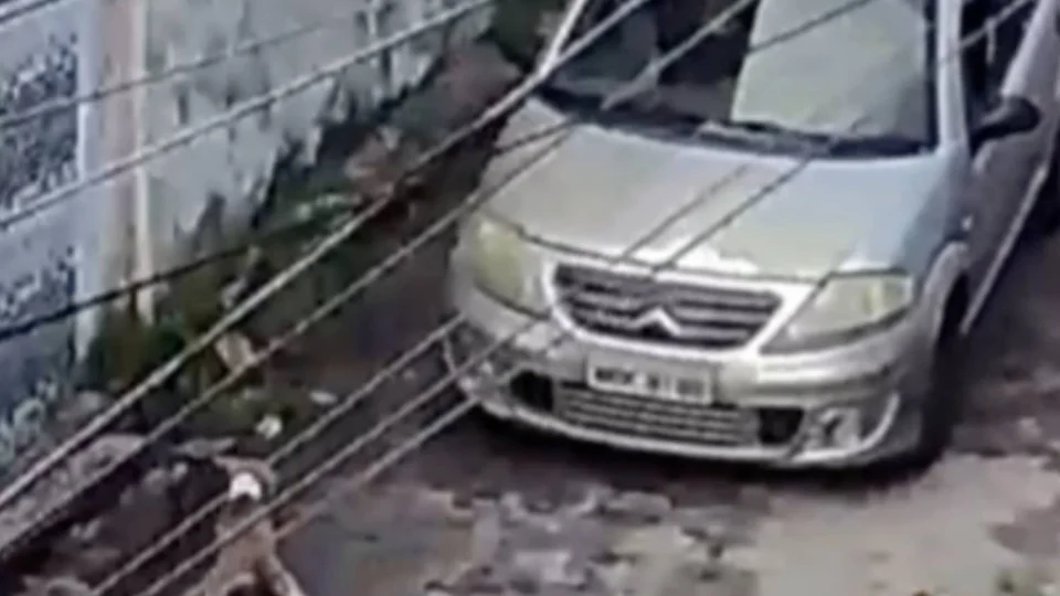 VEJA VÍDEO: Motorista atropela e mata cachorro no Novo Aleixo e foge sem prestar socorro