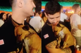 VÍDEO: De penetra a melhor amigo: cachorro invade show e ganha um lar em Minas Gerais