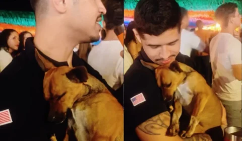 VÍDEO: De penetra a melhor amigo: cachorro invade show e ganha um lar em Minas Gerais