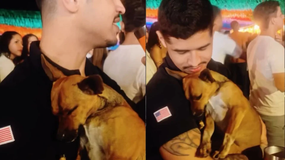 VÍDEO: De penetra a melhor amigo: cachorro invade show e ganha um lar em Minas Gerais