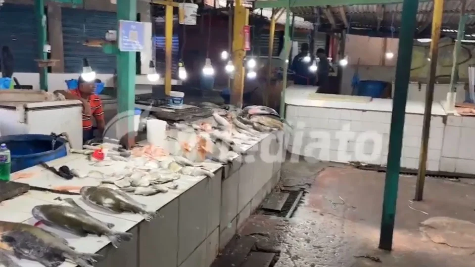 Feira do São José II em Manaus sofre abandono e falta de infraestrutura, denunciam permissionários