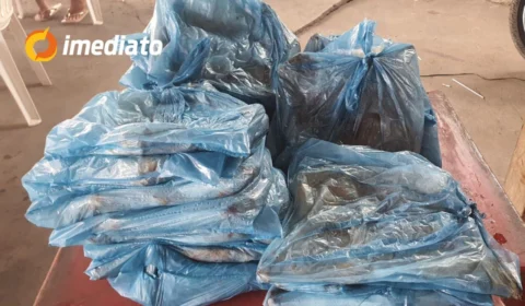 Ação social oferece café da manhã e doação de frangos para famílias carentes no bairro Colônia Terra Nova