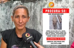 Mãe de pet pede ajuda para encontrar cachorro que desapareceu no Amazonino Mendes