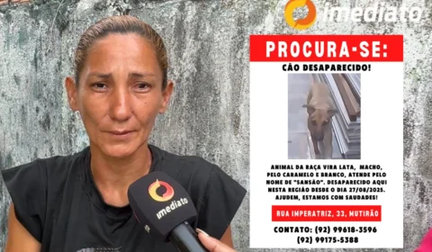 Mãe de pet pede ajuda para encontrar cachorro que desapareceu no Amazonino Mendes