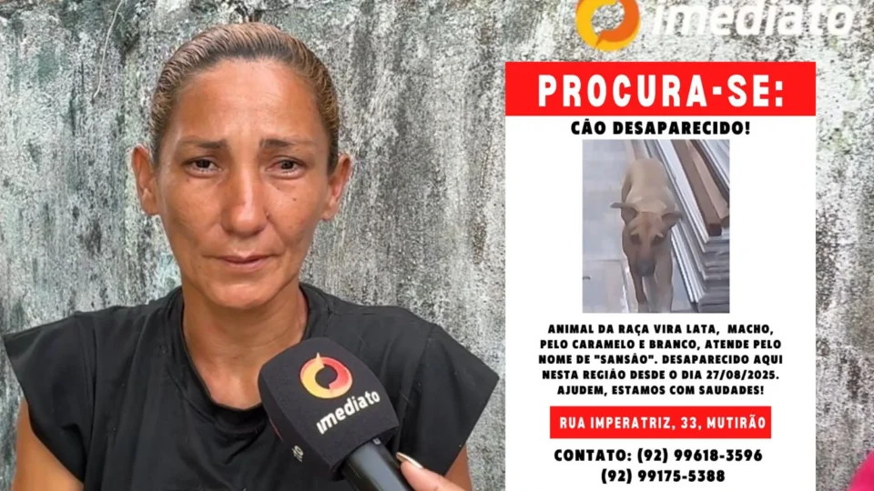 Mãe de pet pede ajuda para encontrar cachorro que desapareceu no Amazonino Mendes