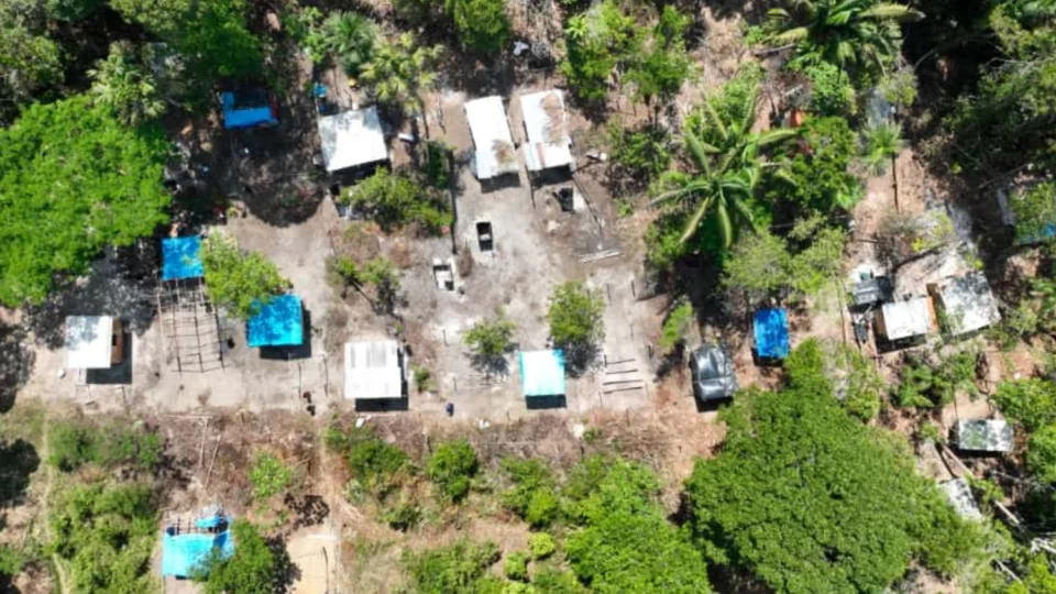 Nove pessoas são indiciadas por crimes ambientais e associação criminosa em área de preservação em Manaus