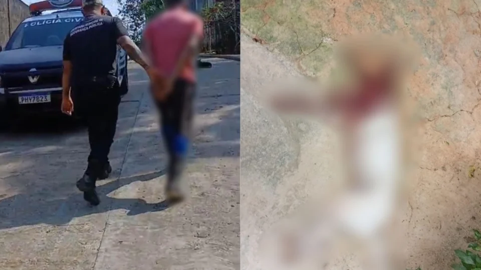Homem mata cachorro a golpes de facão e é preso horas depois em Carauari