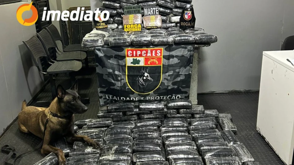 Base Arpão II apreende 180 kg de drogas em embarcação no Rio Solimões
