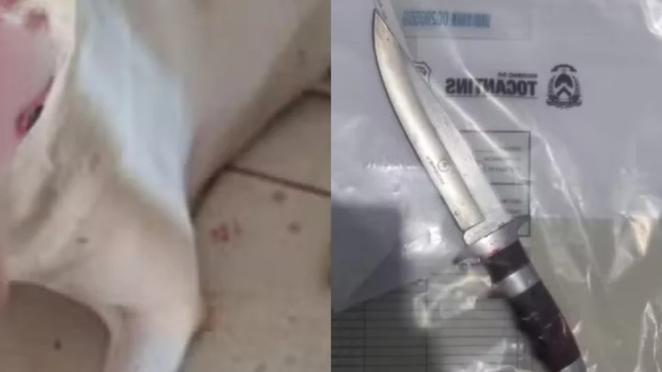 Homem é preso em Tocantins por esfaquear pitbull da própria sobrinha